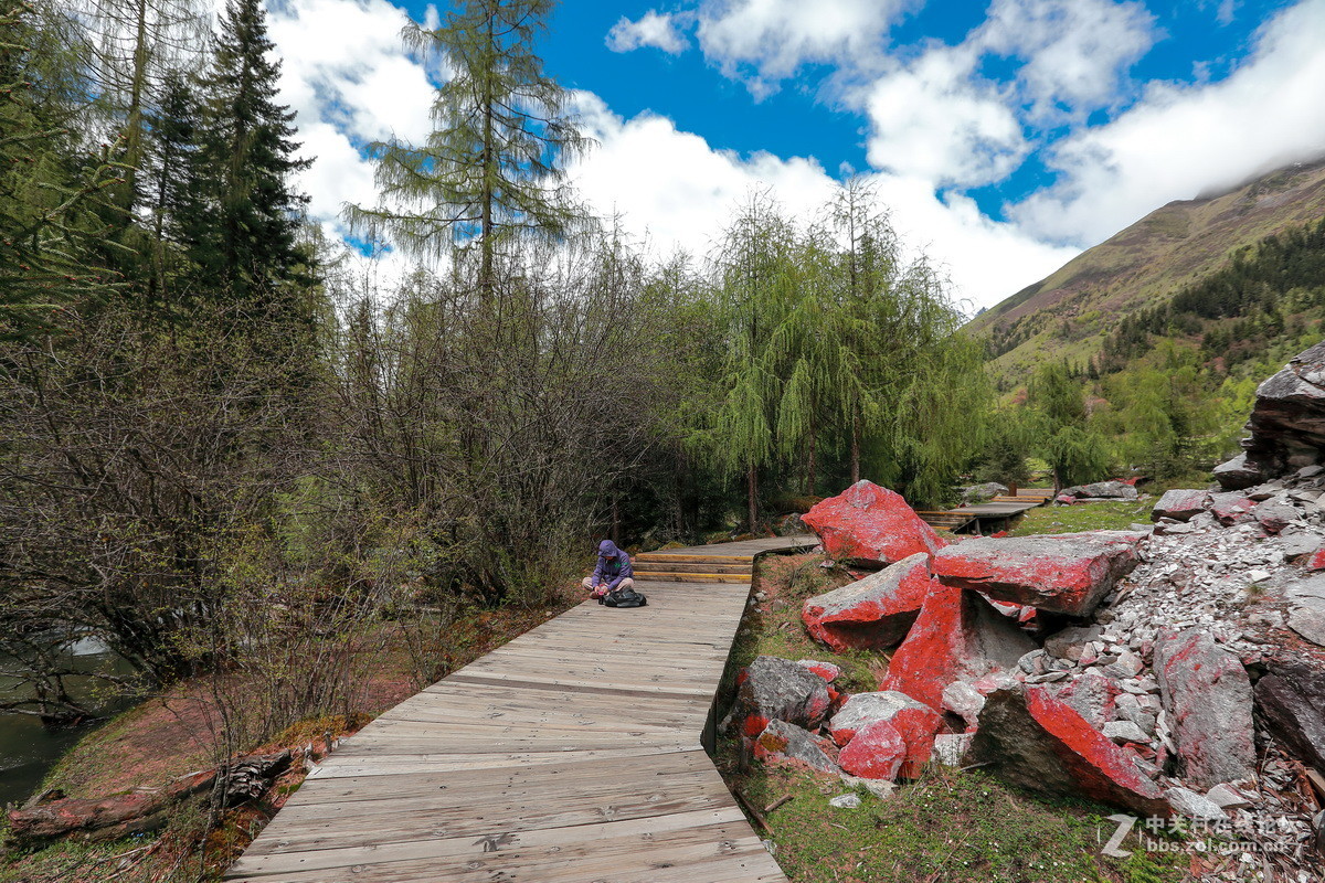 #佳能月赛-人与自然#川西之行一双桥沟（续一）。