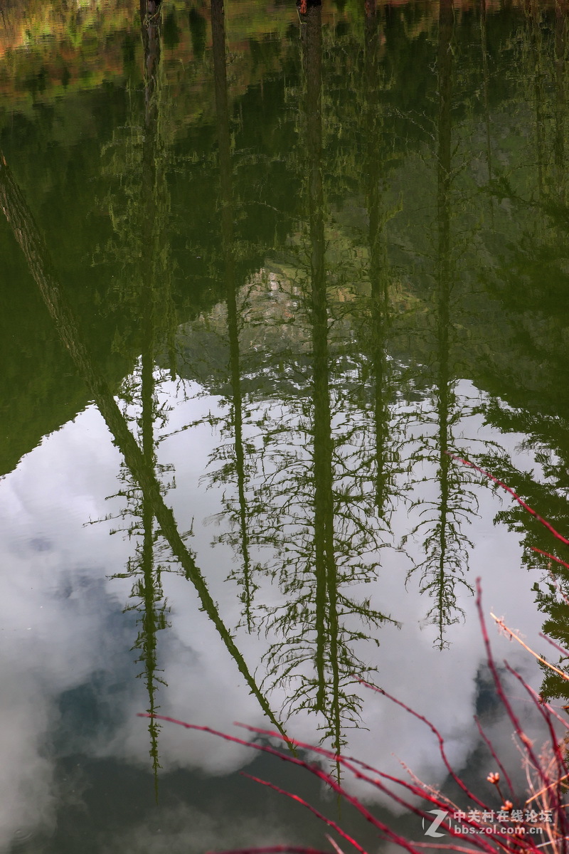 #佳能月赛-人与自然#川西之行一双桥沟（续一）。