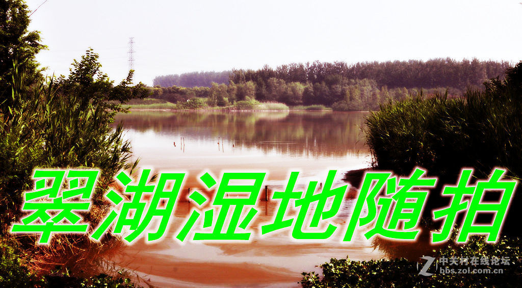 【翠湖湿地随拍】（4）