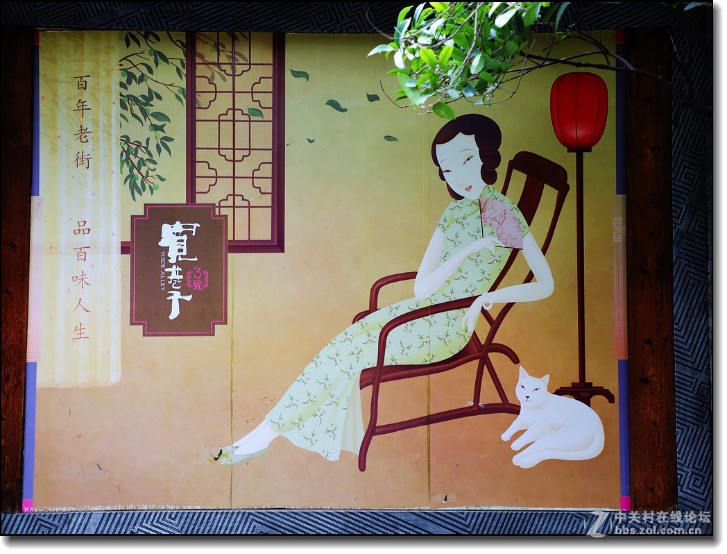 开启西藏之旅——成都宽窄巷子(2)
