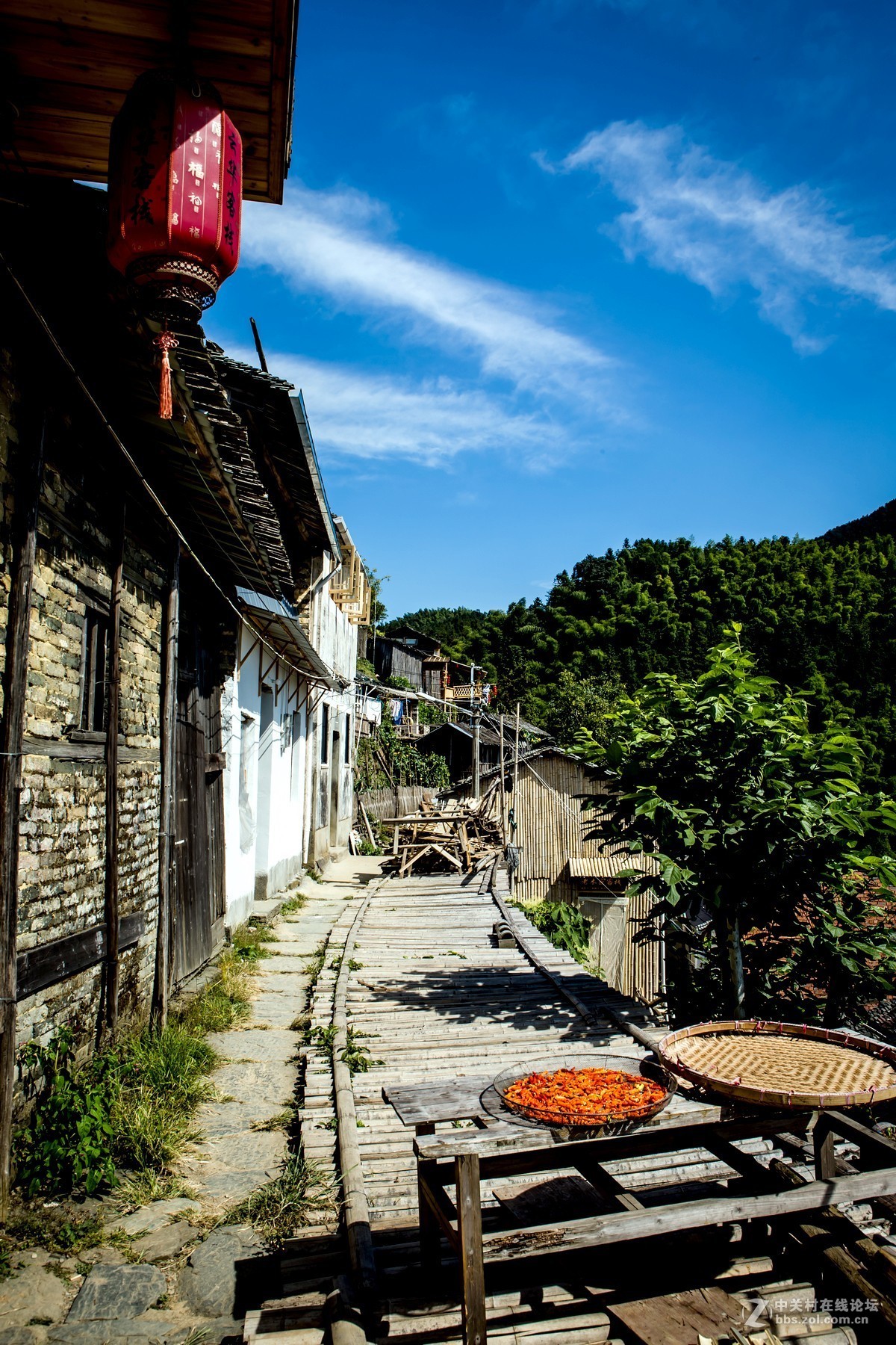 1200_1800竖版 竖屏