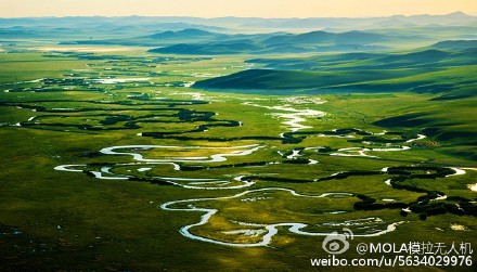 徜徉在绿色的“海洋”中，瞰过这么壮阔的世界？