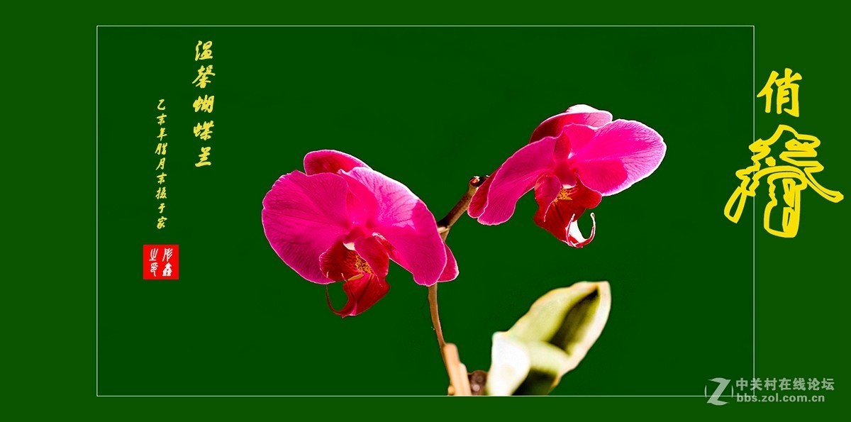 #版主坐堂#小五星空(中国)2016年2月精品荟萃