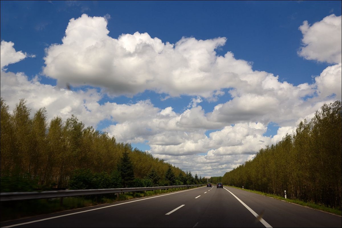 休闲随拍（317）