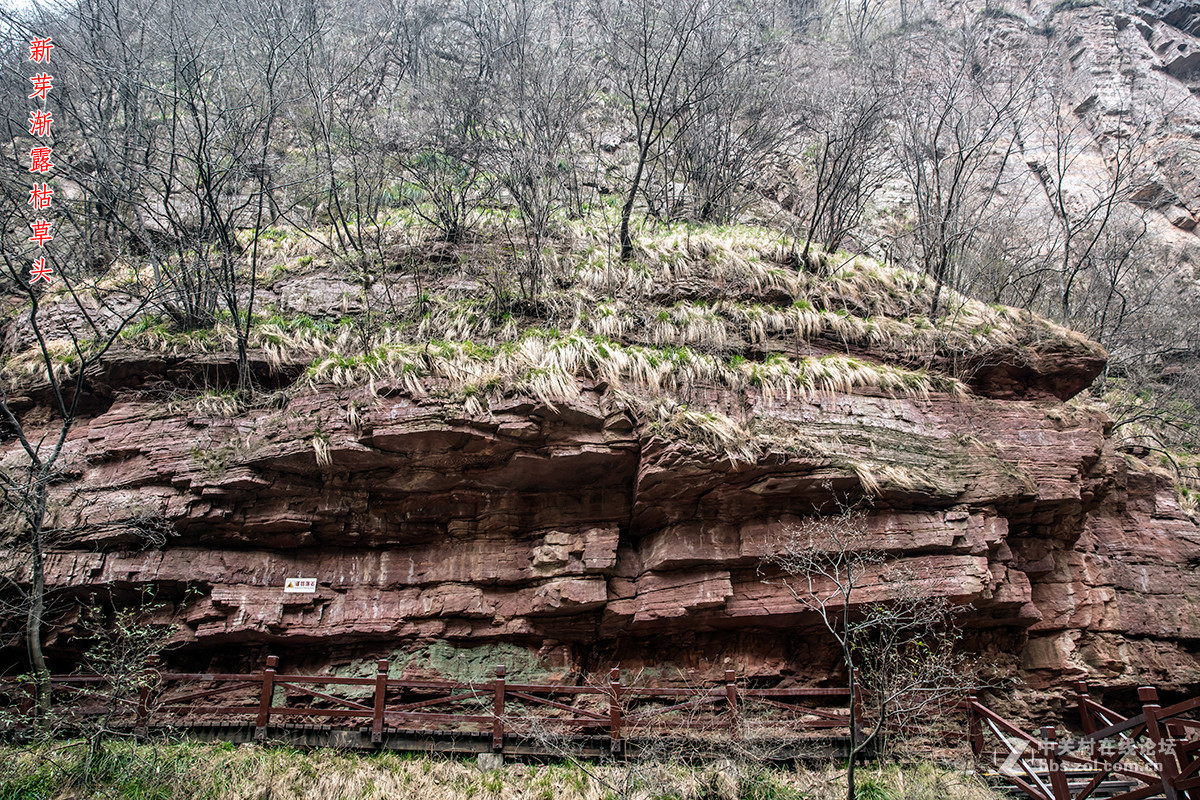 #佳能月赛-与佳能一起去踏青#+龙潭大峡谷寻春（2）