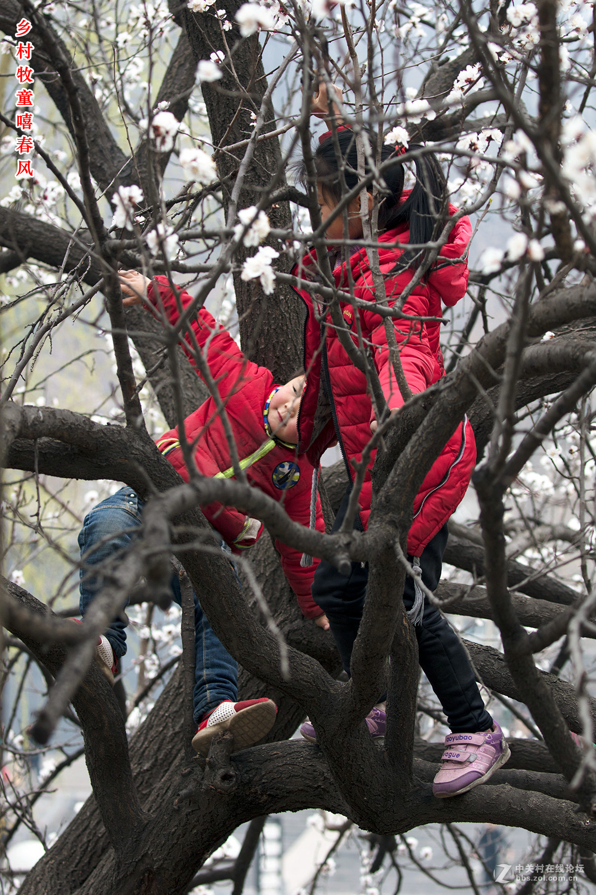 #佳能月赛-与佳能一起去踏青#+龙潭大峡谷寻春（2）