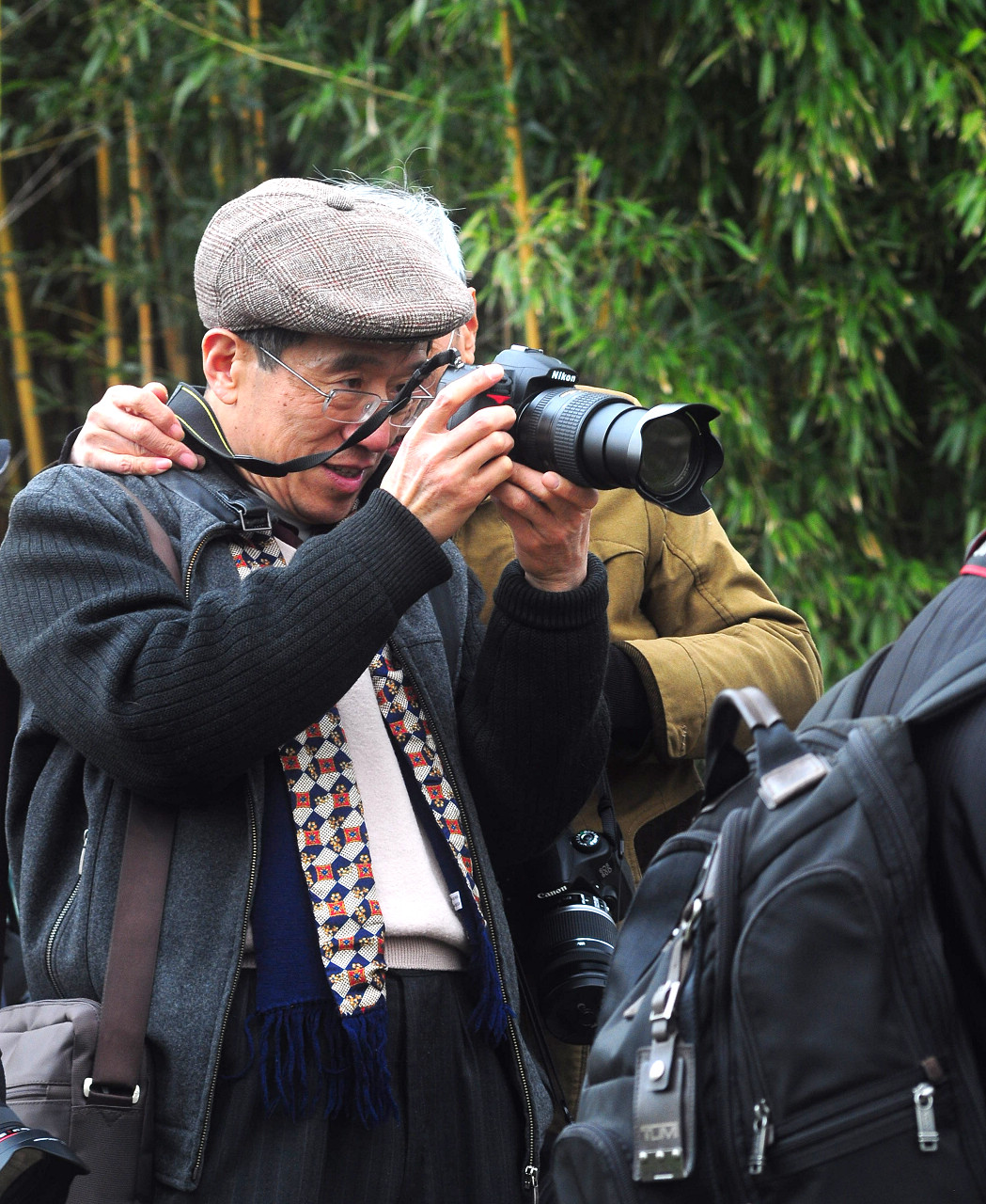 上海大宁公园郁金香花展和老年摄影爱好者们