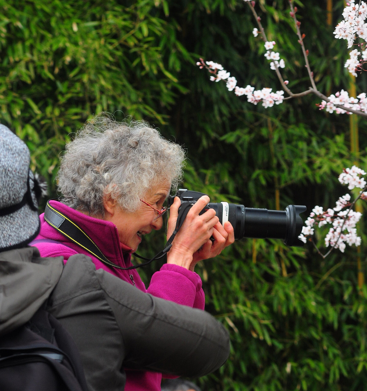 上海大宁公园郁金香花展和老年摄影爱好者们
