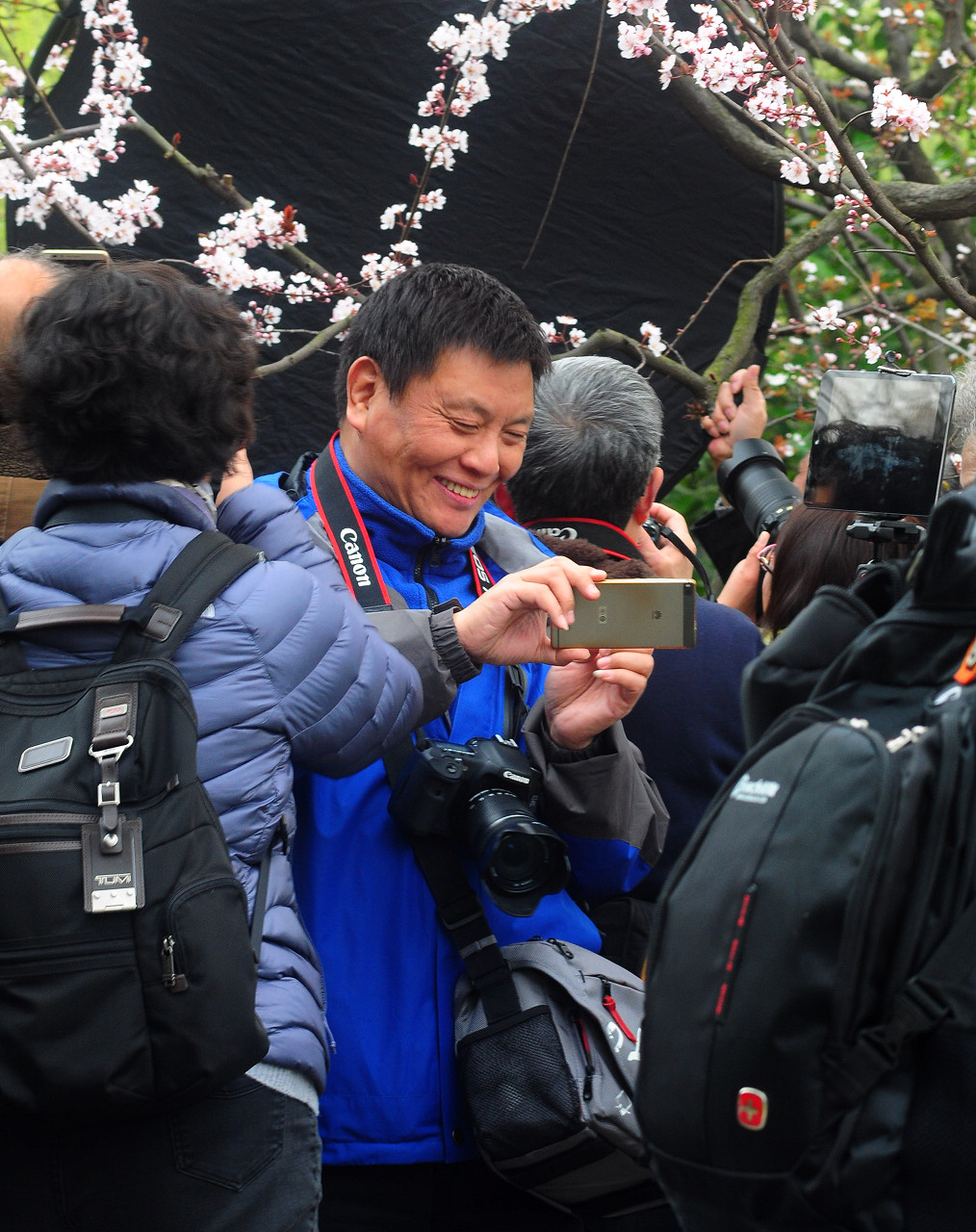 上海大宁公园郁金香花展和老年摄影爱好者们