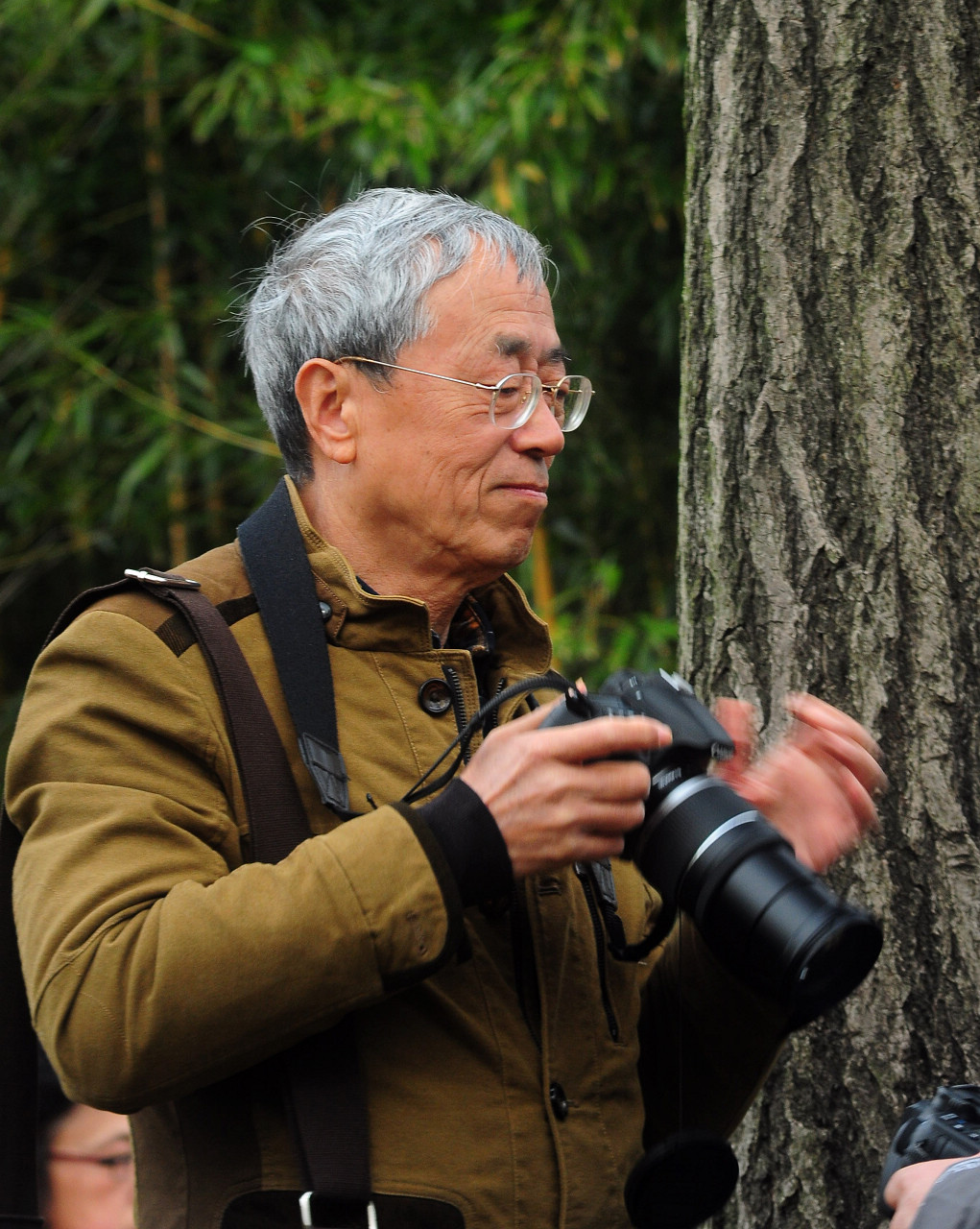 上海大宁公园郁金香花展和老年摄影爱好者们