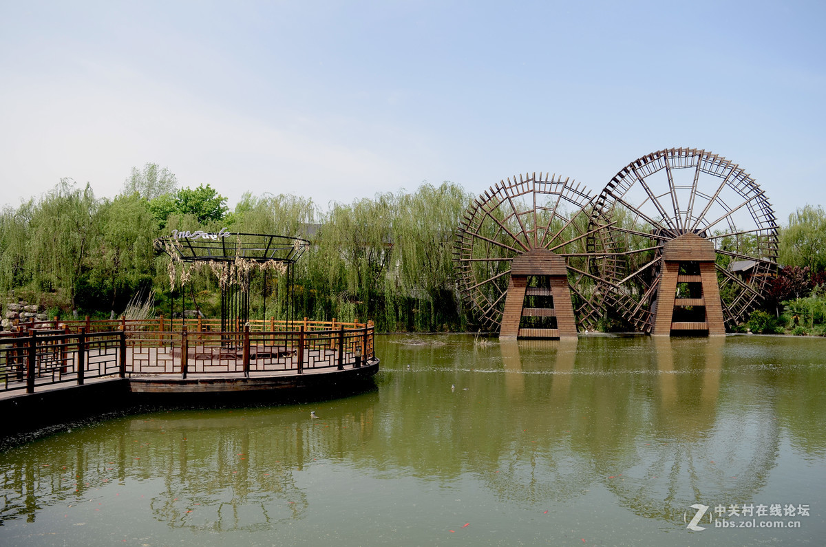 洹水湾牡丹之印象结束篇