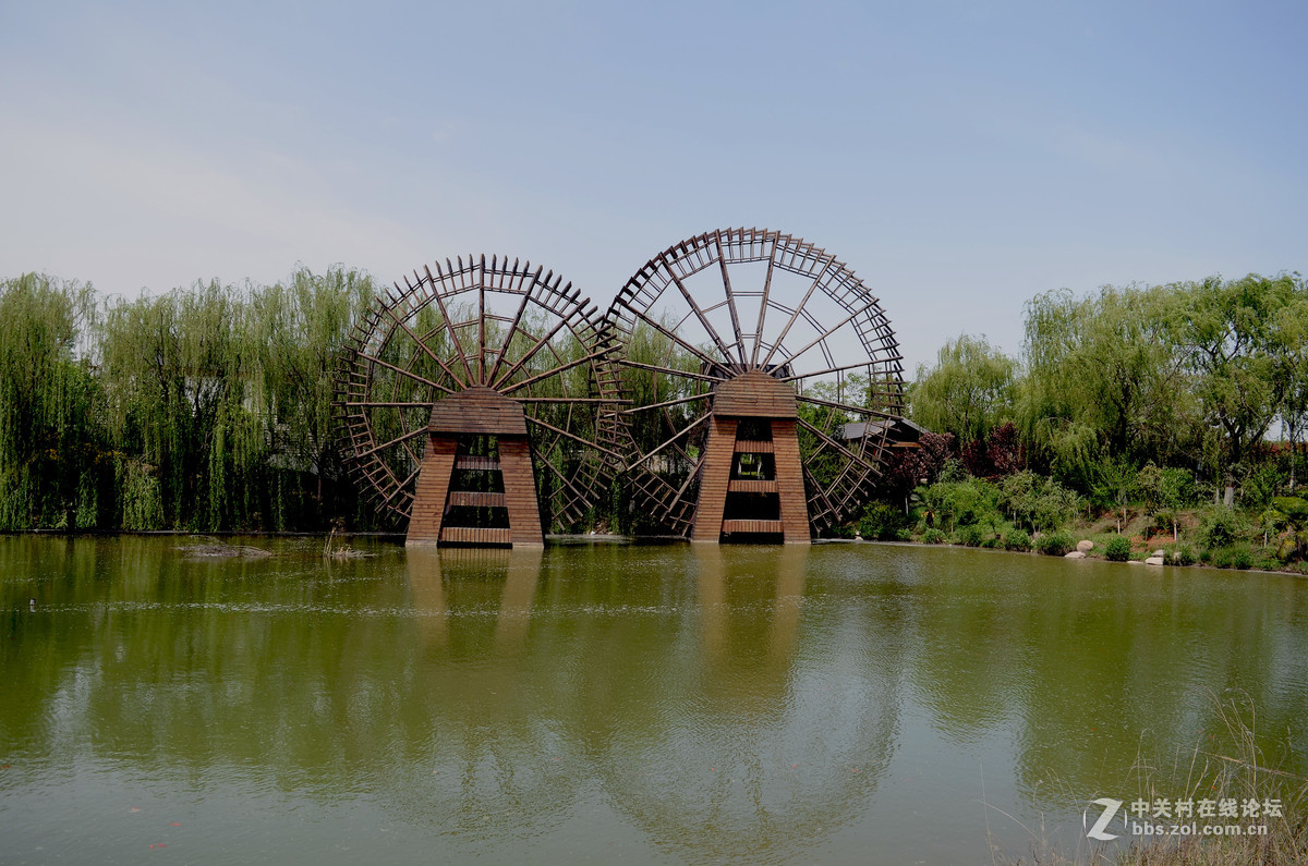 洹水湾牡丹之印象结束篇