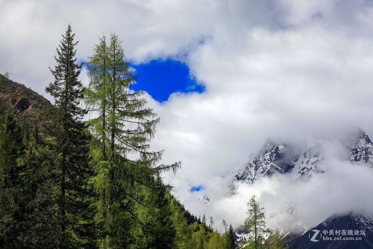 #佳能月赛-人与自然#川西之行一双桥沟（续一）。