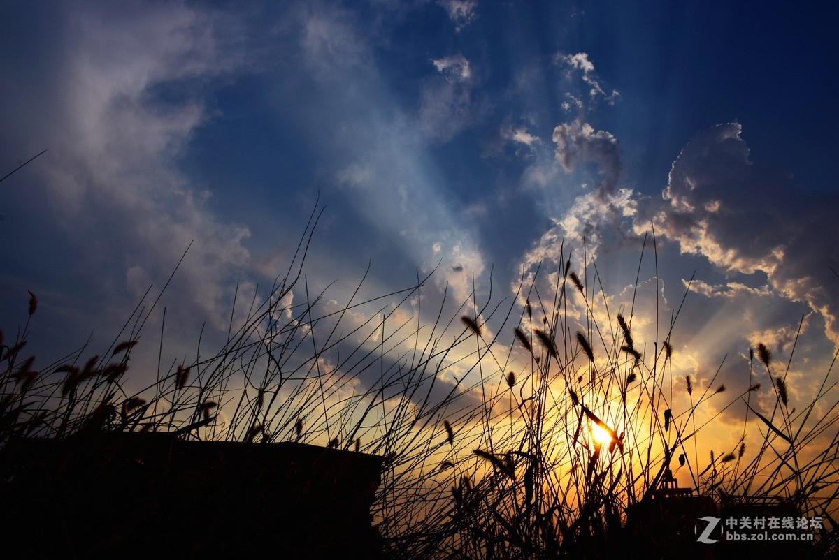 佛光普照...普度众生......