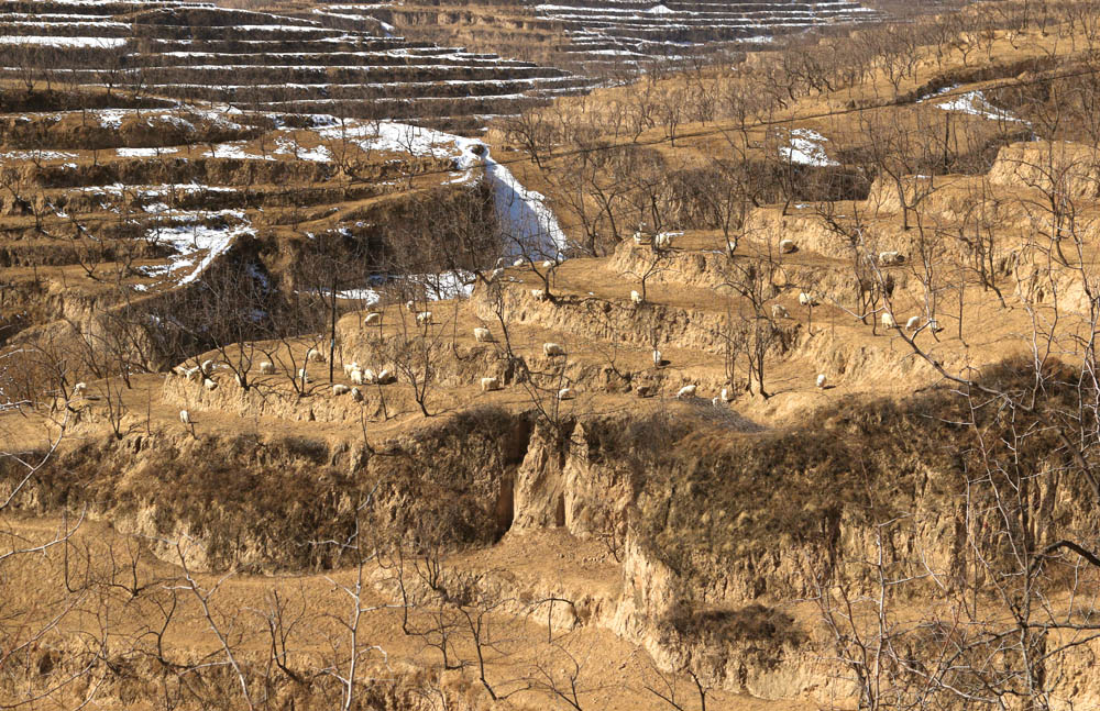 陕西游记我家住在黄土高坡