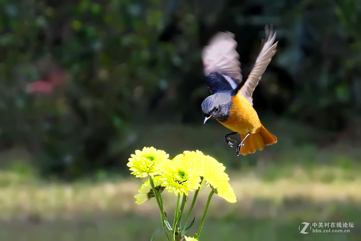 #版主坐堂# 牡丹江星空(中国)（8月份）精华精选
