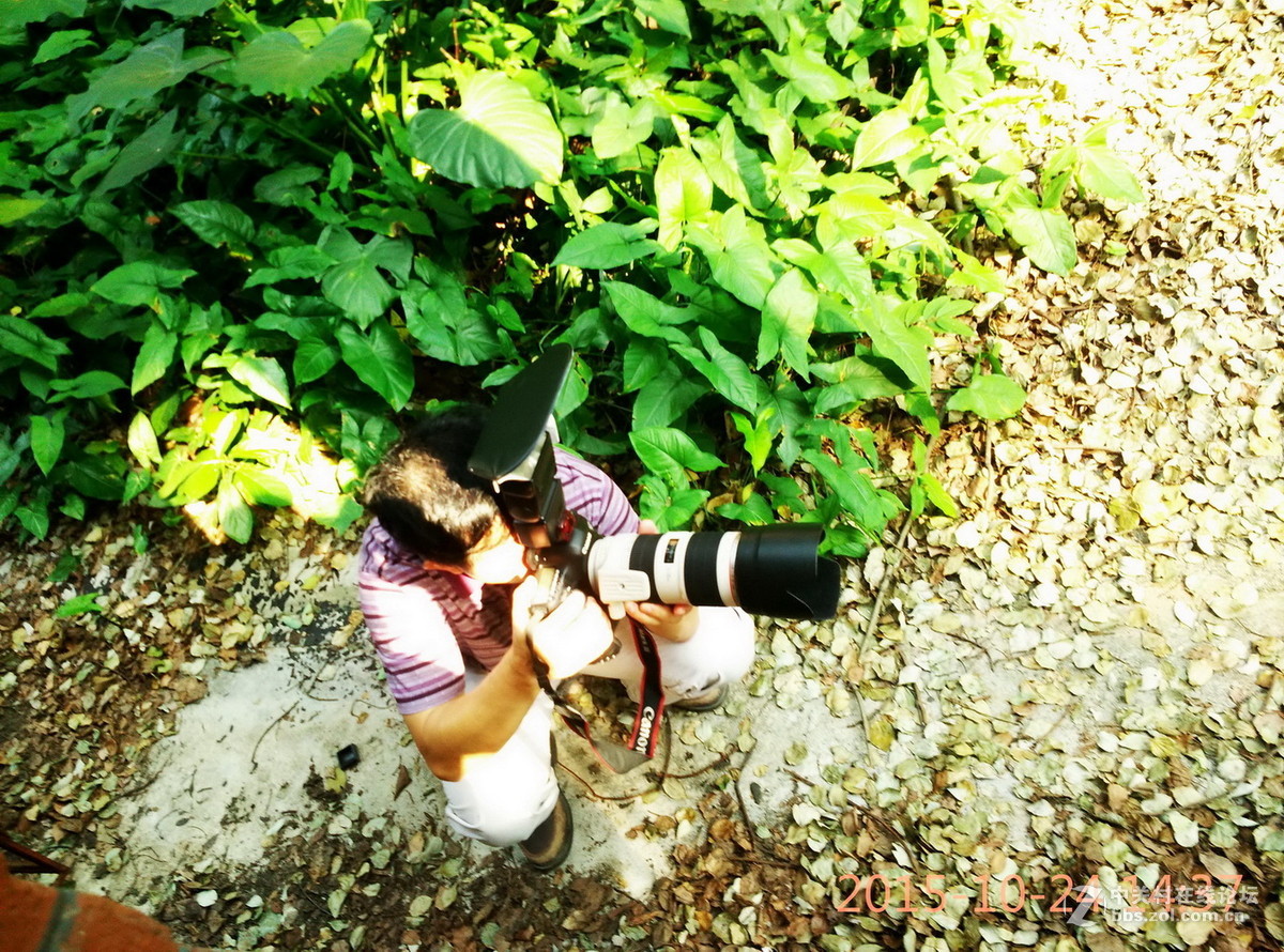 20151024 中大直身回顾