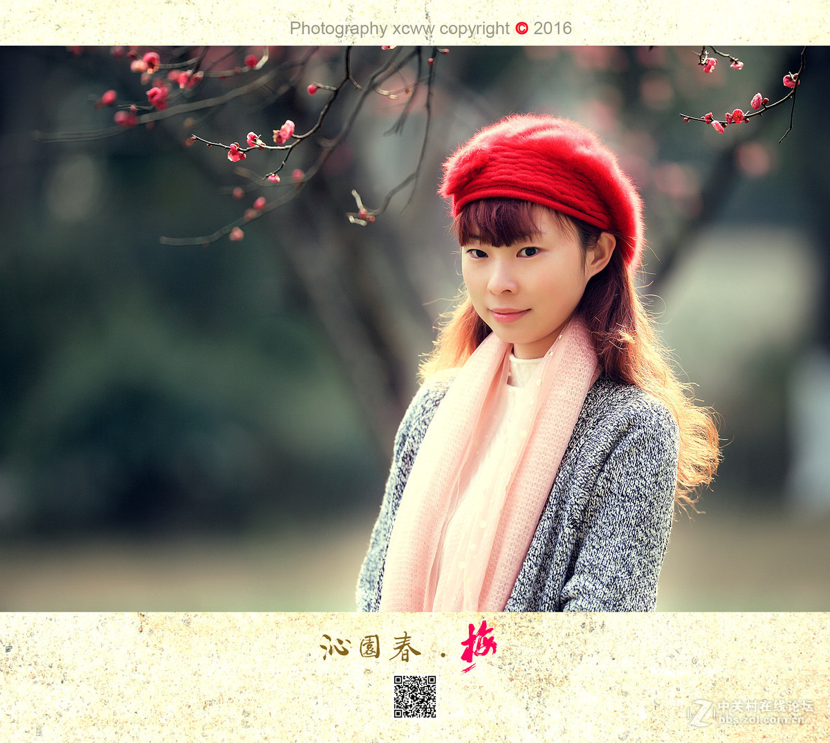 喜出望外作品——《沁园春 .　梅》