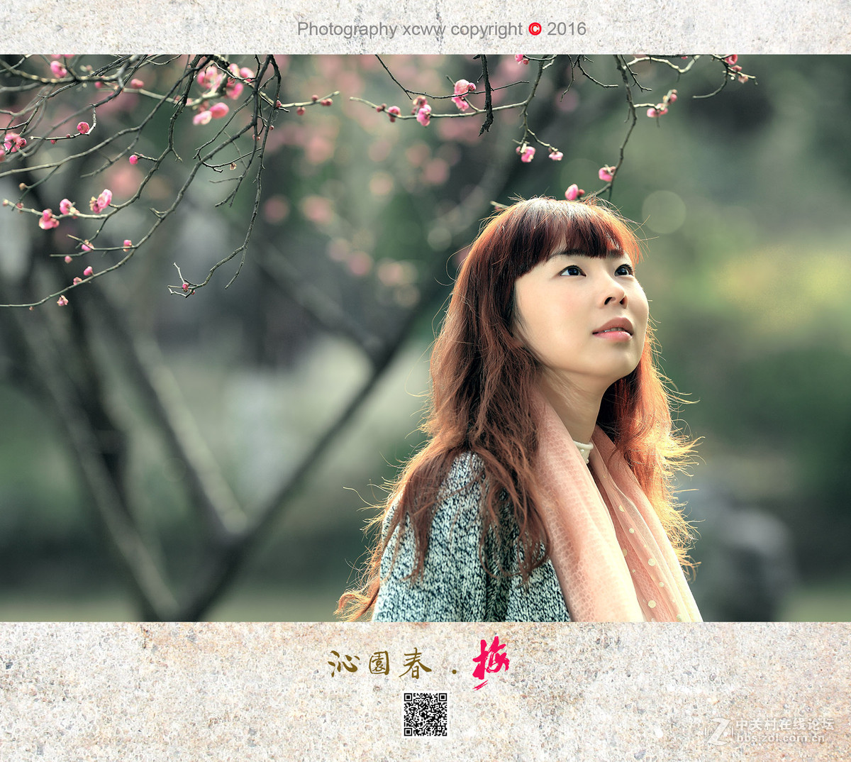 喜出望外作品——《沁园春 .　梅》