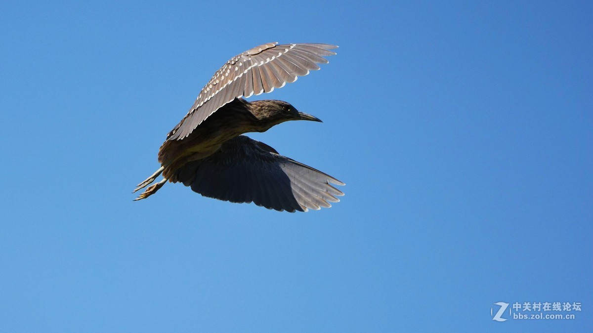 #版主坐堂#小五星空(中国)2016年2月精品荟萃