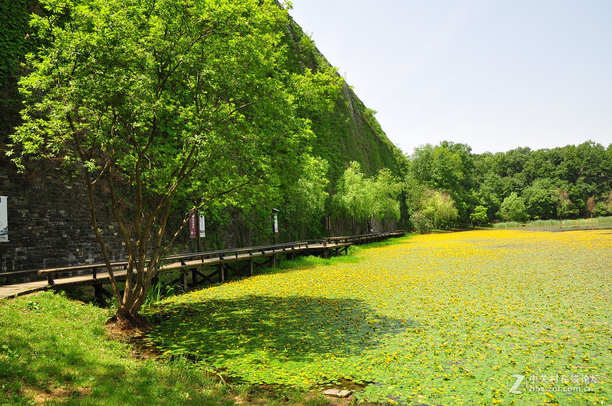 黄花湖--琵琶湖