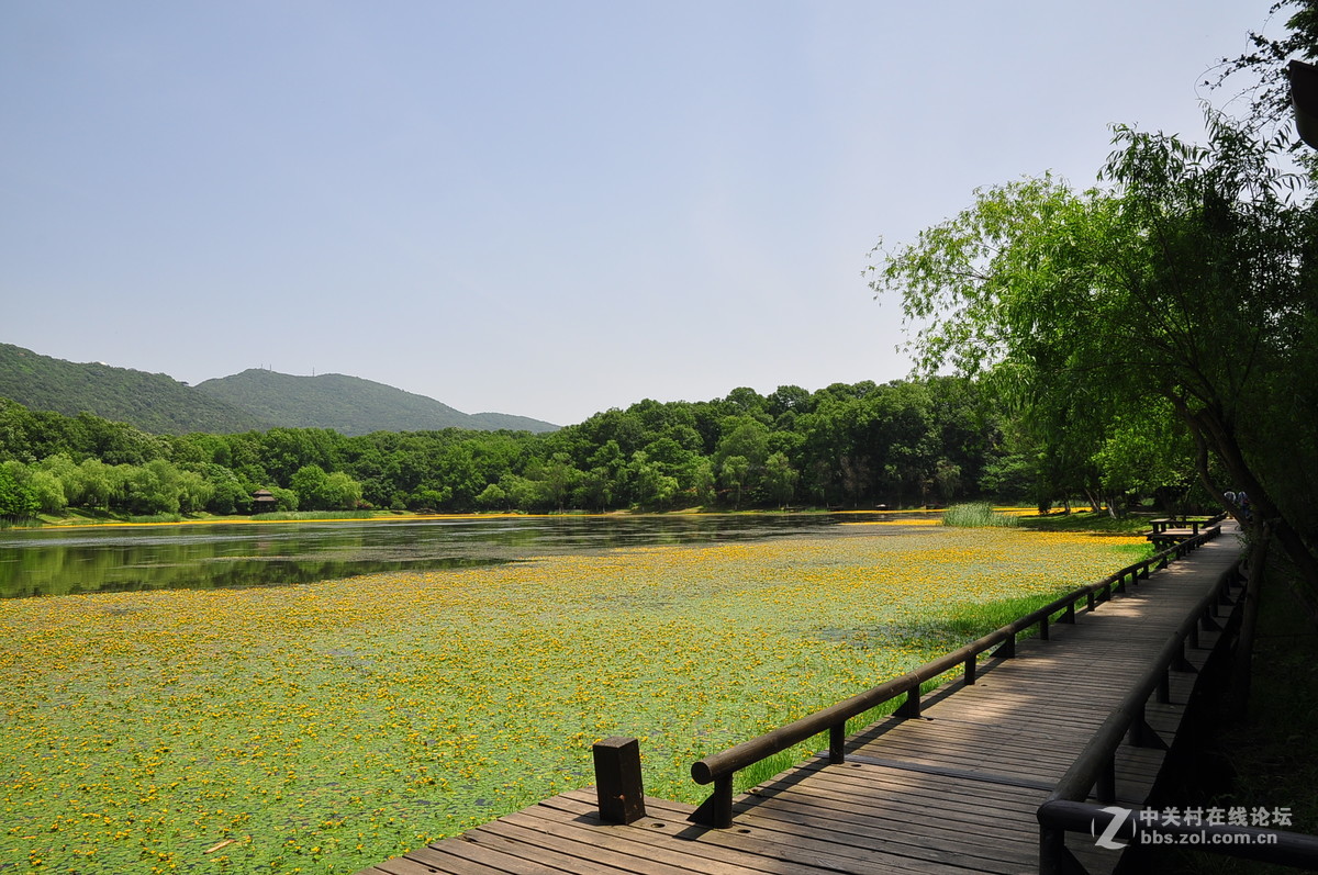 黄花湖--琵琶湖