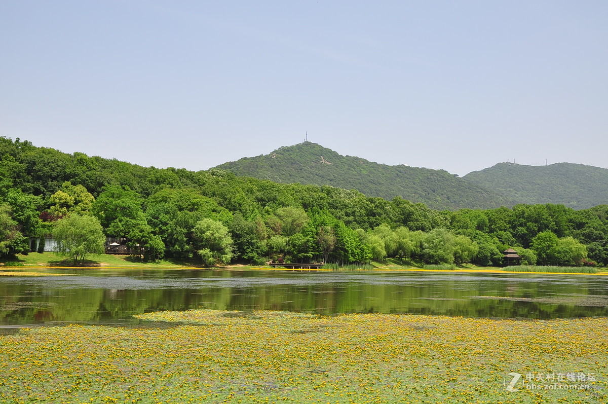 黄花湖--琵琶湖