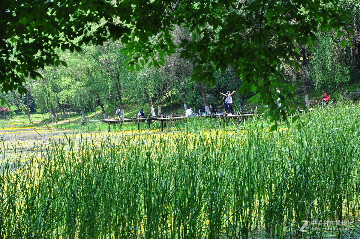 黄花湖--琵琶湖