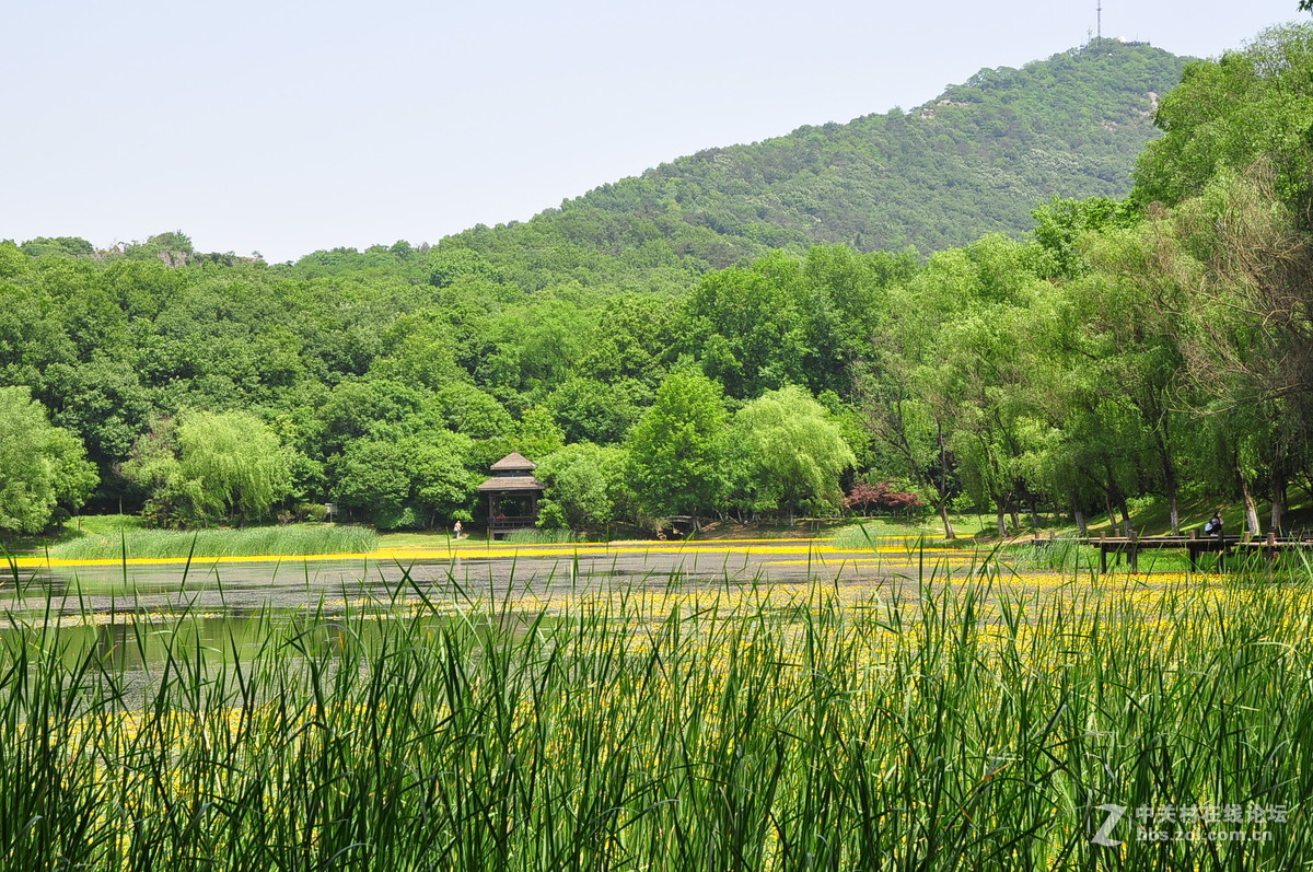 黄花湖--琵琶湖