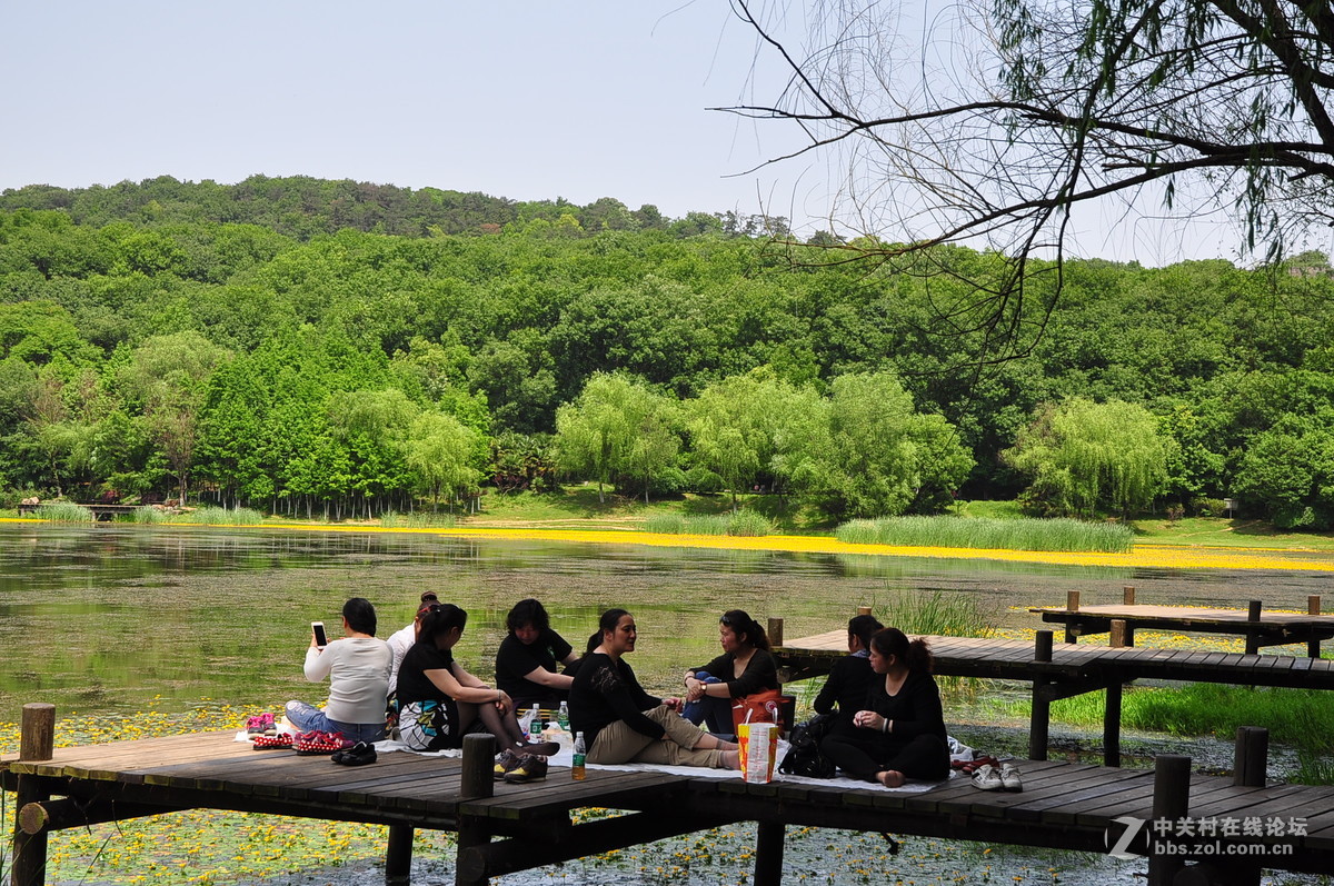 黄花湖--琵琶湖
