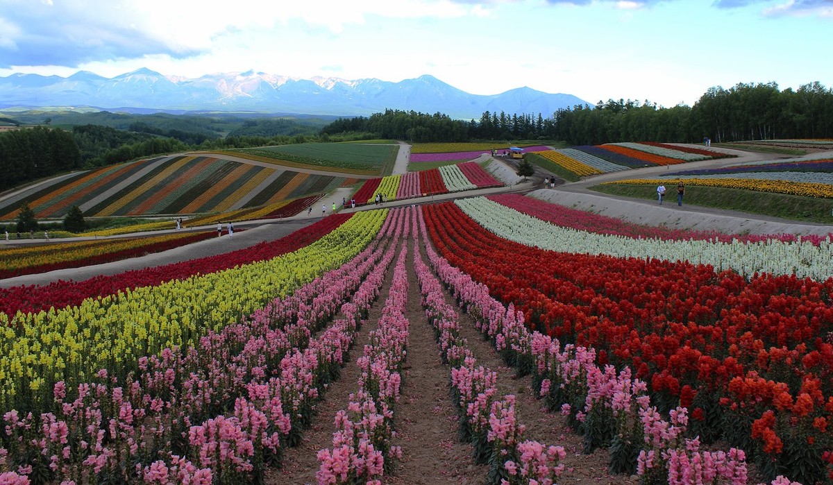 日本  北海道风光