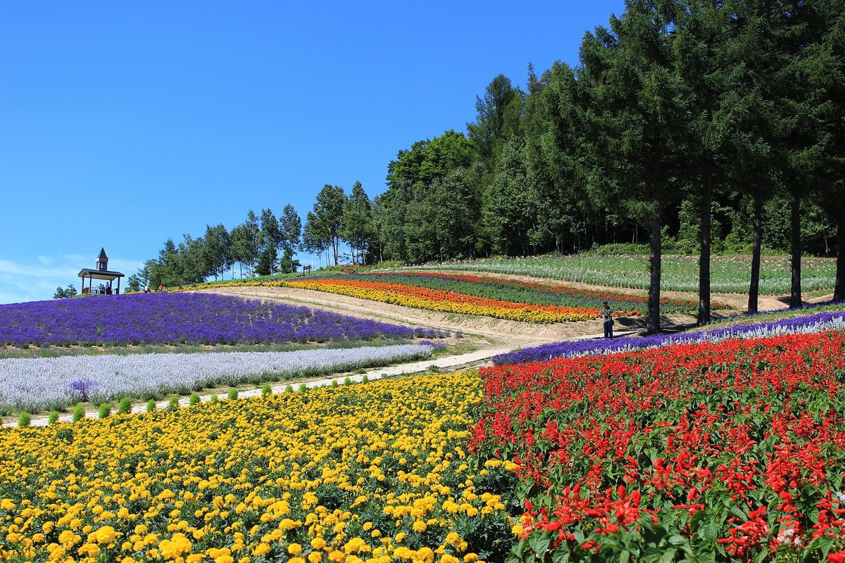 日本  北海道风光