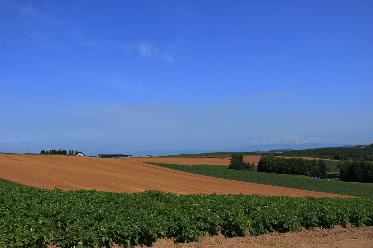 日本  北海道风光