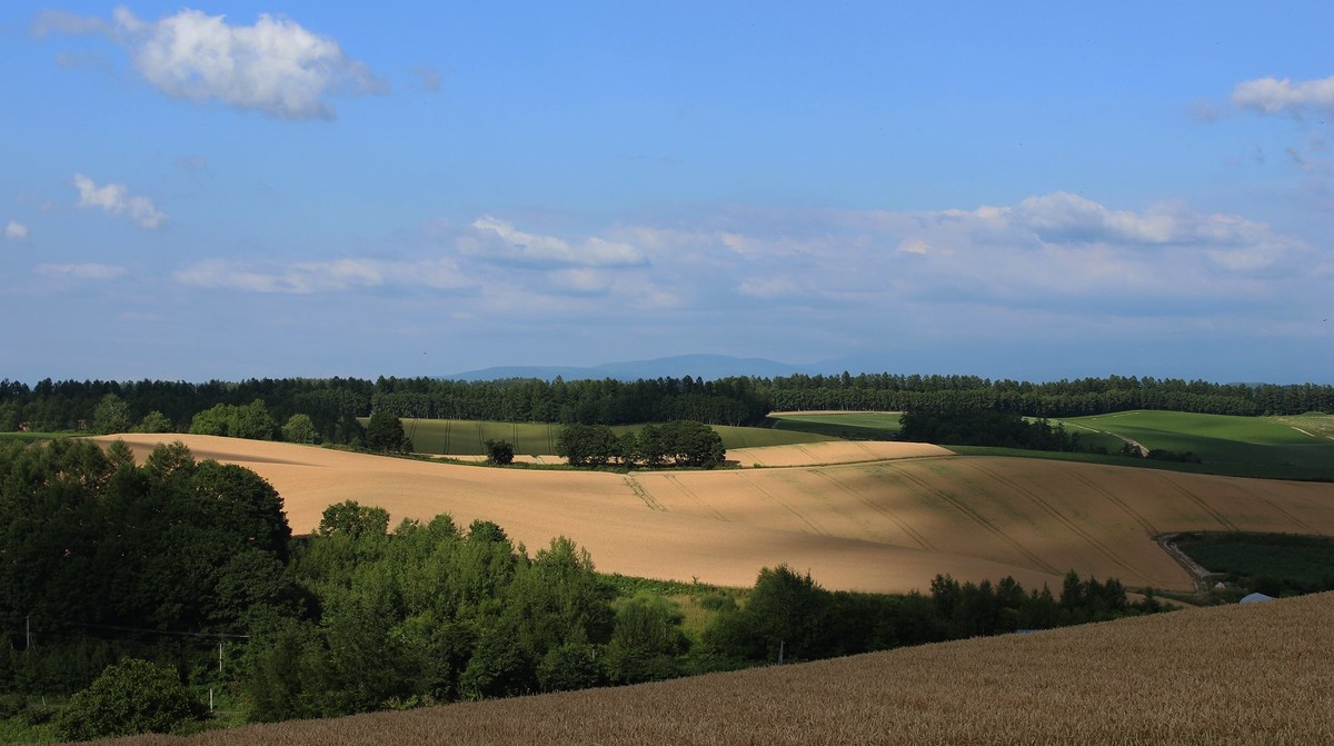 日本  北海道风光