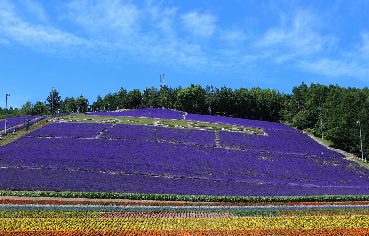 日本  北海道风光