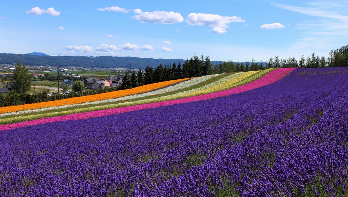 日本  北海道风光