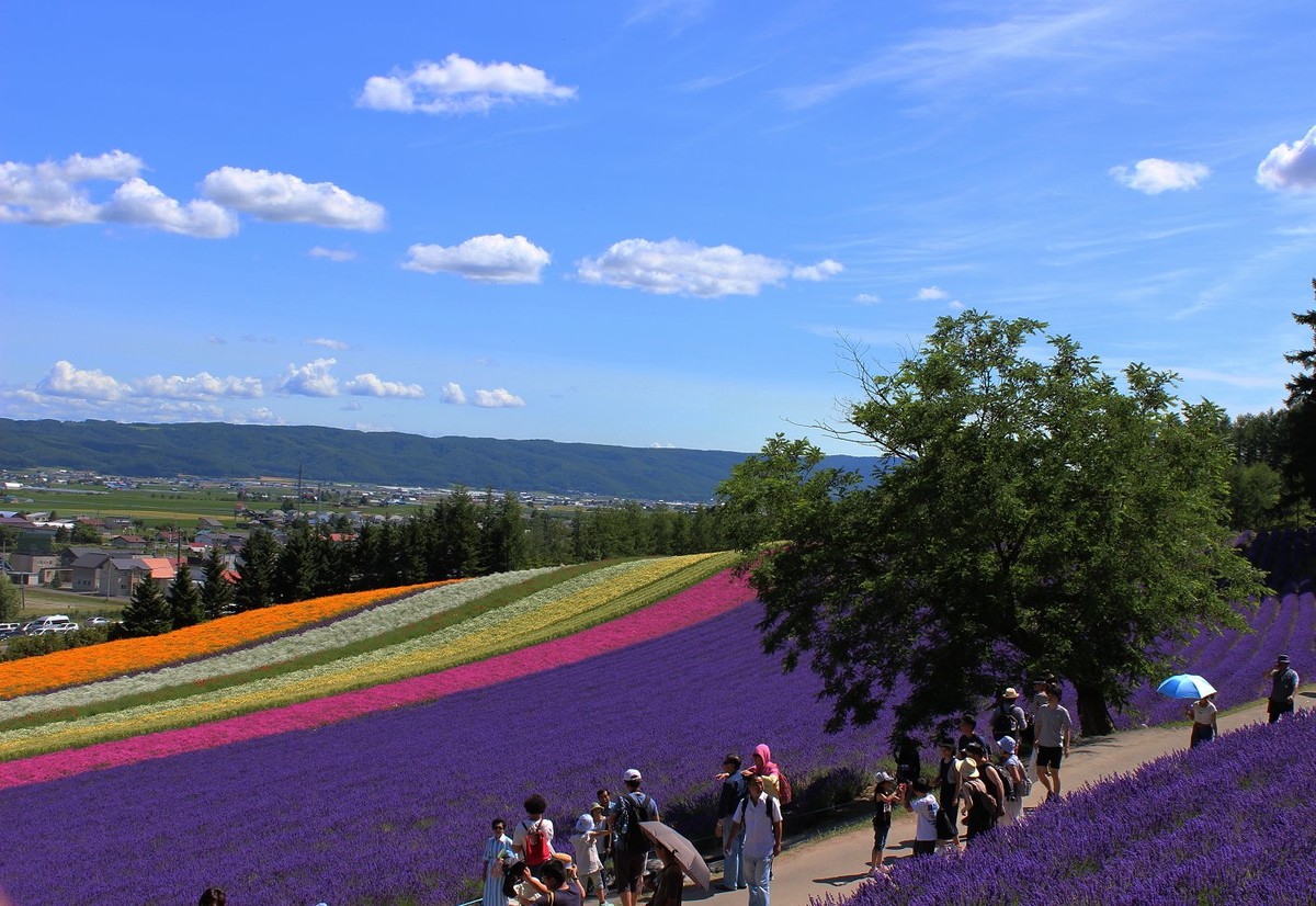 日本  北海道风光