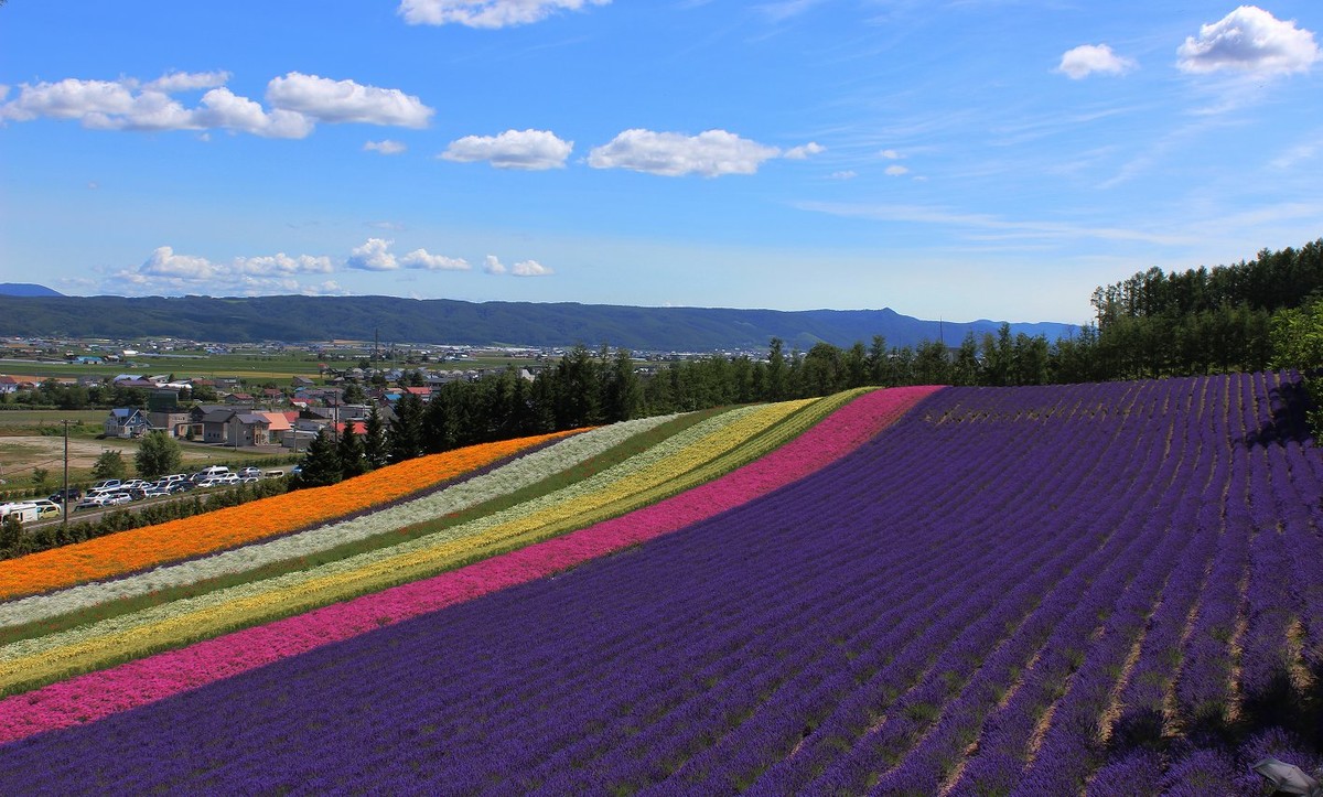 日本  北海道风光
