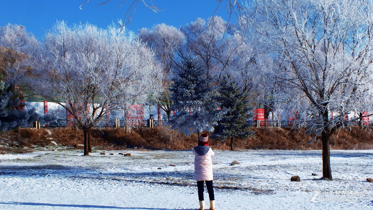 冰天雪地，美丽冻人。