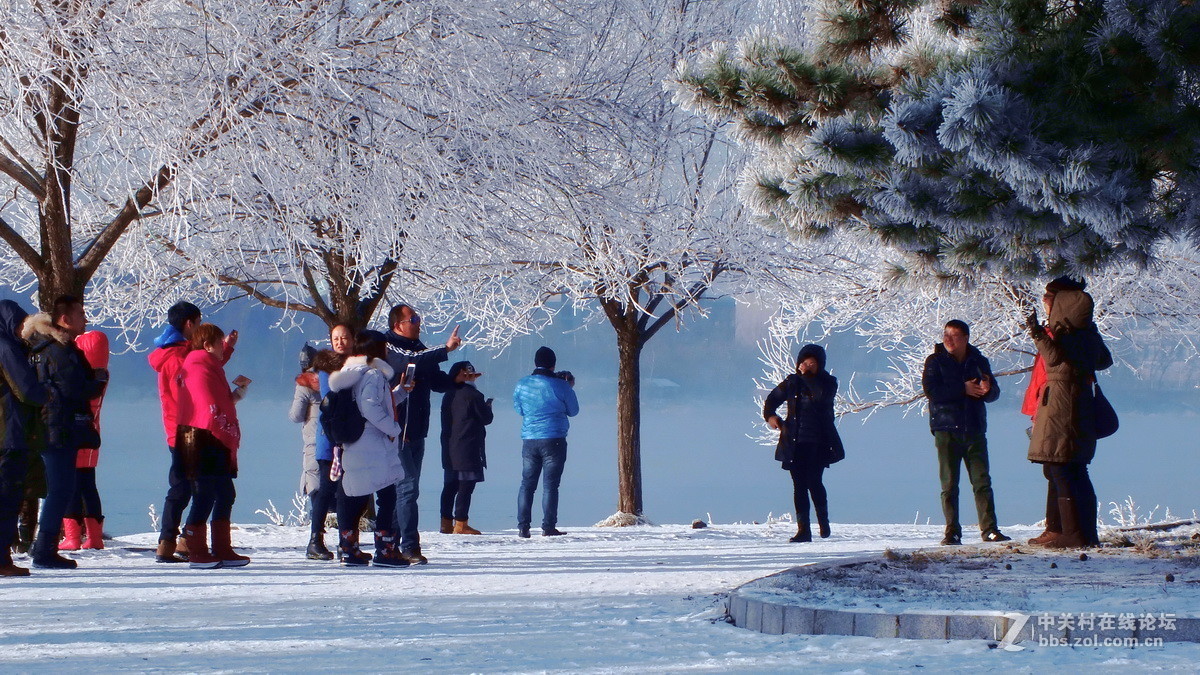 冰天雪地，美丽冻人。