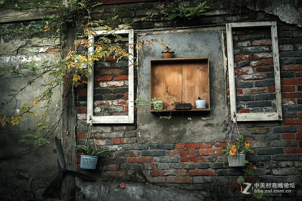 借来的DP2 Q试用