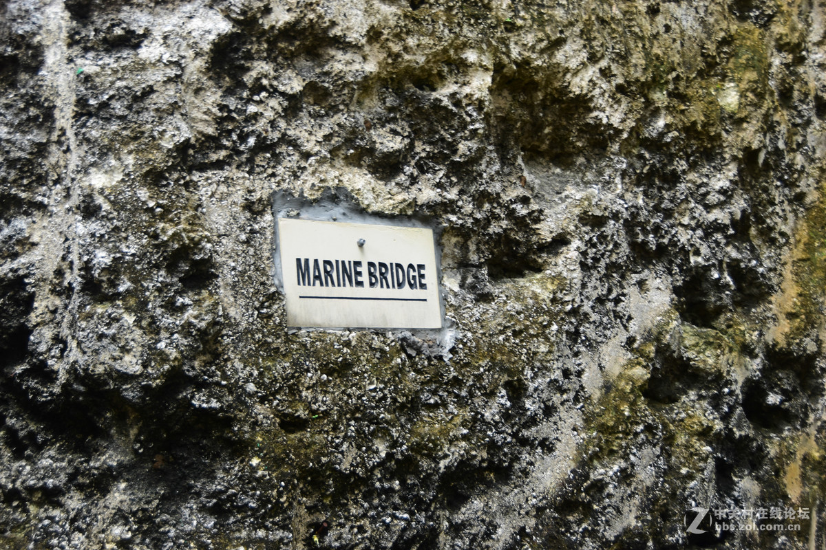 巴厘岛人文记录贴——全程D5500+DX 18-200mm VR II。