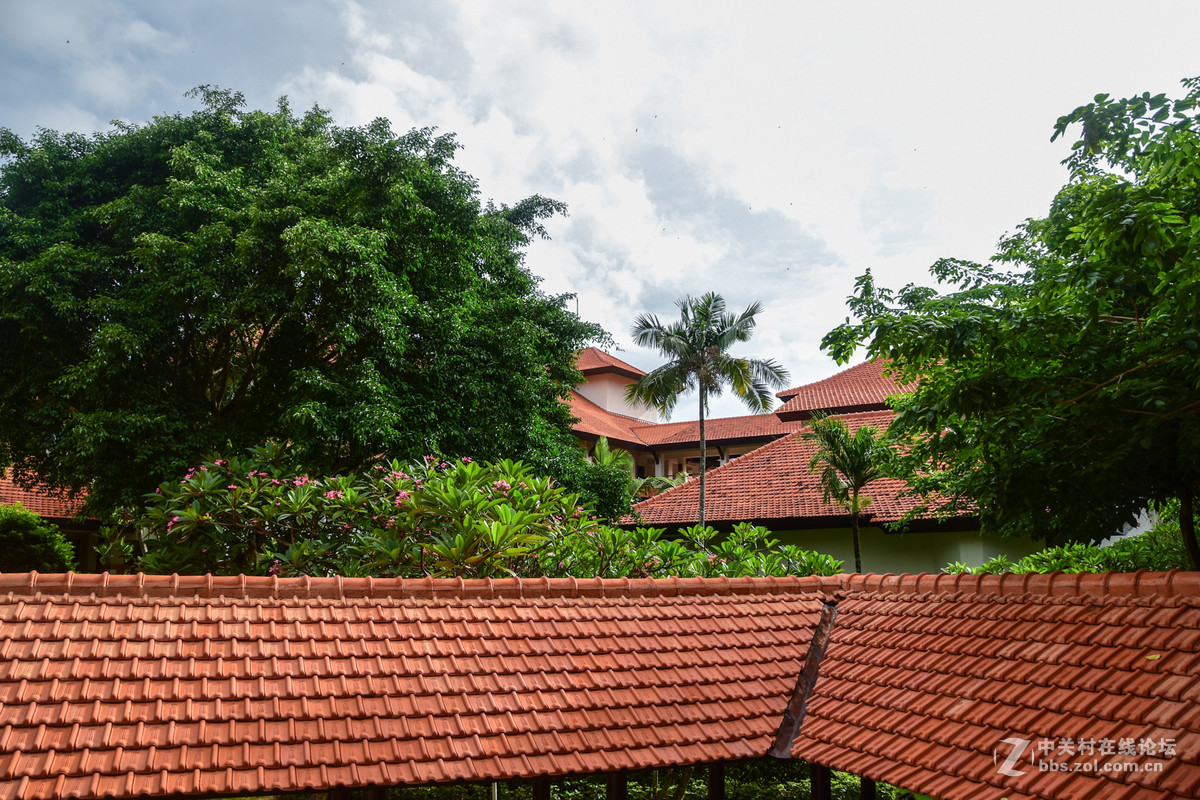 巴厘岛人文记录贴——全程D5500+DX 18-200mm VR II。