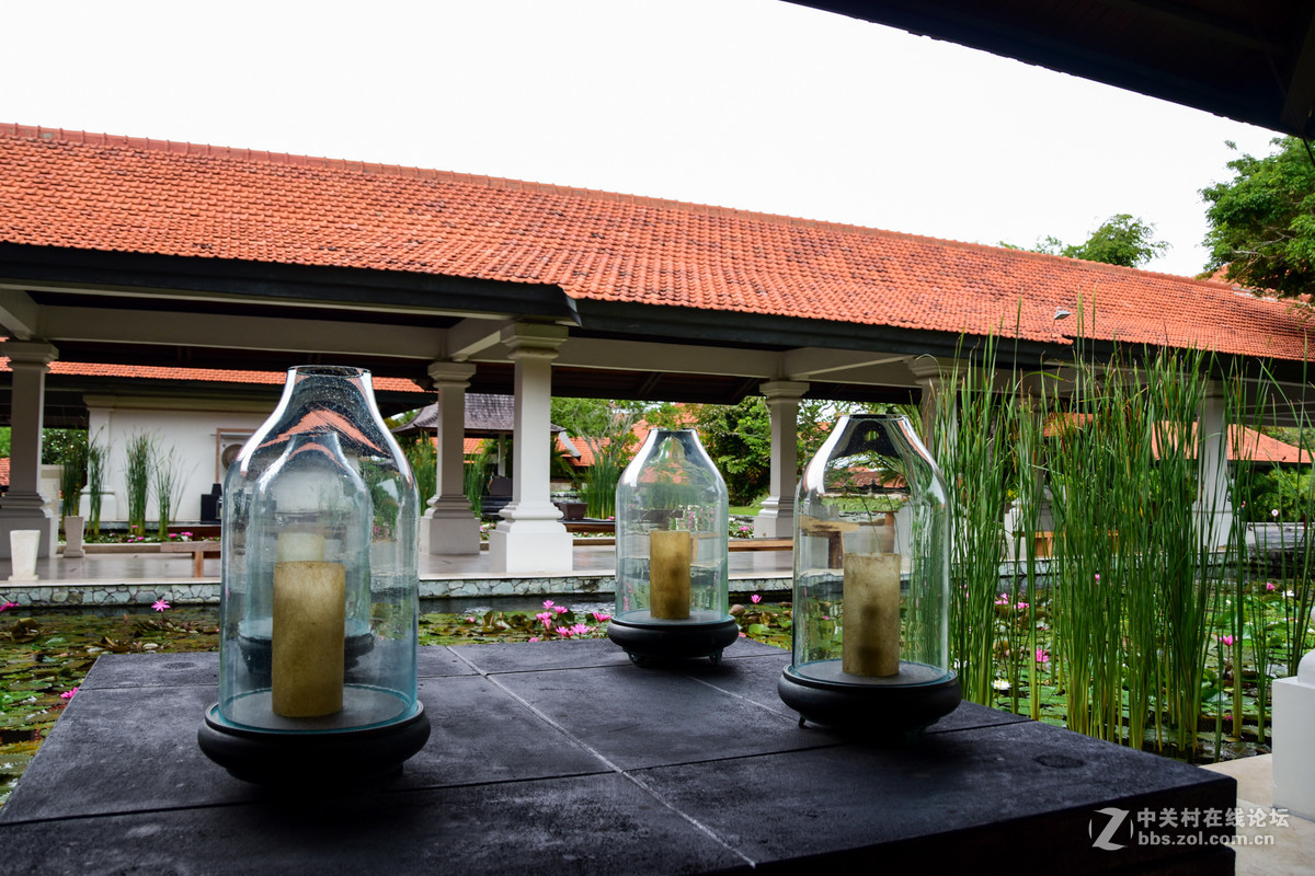 巴厘岛人文记录贴——全程D5500+DX 18-200mm VR II。