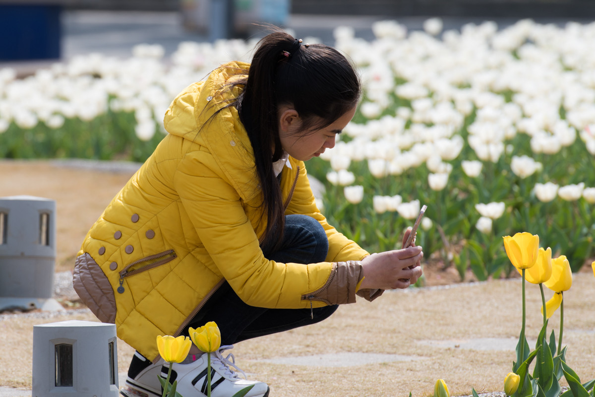 满园春色关不住，郁金花香惹人醉！（2）