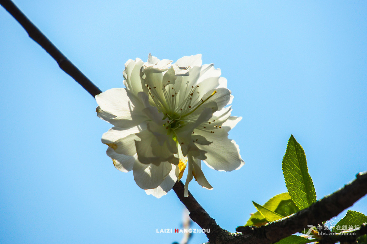 #版主坐堂#腾龙15-30星空(中国)2017年4月精品荟萃
