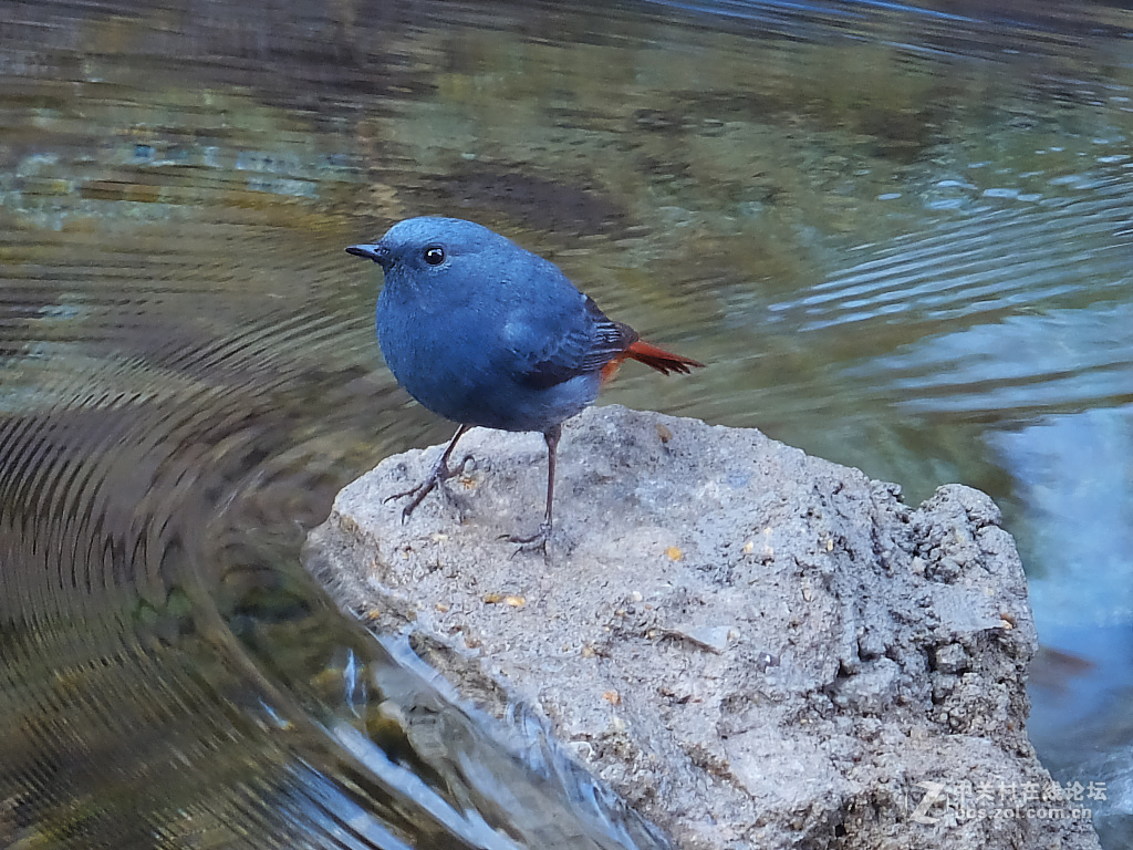 #版主坐堂#腾龙15-30星空(中国)2017年4月精品荟萃