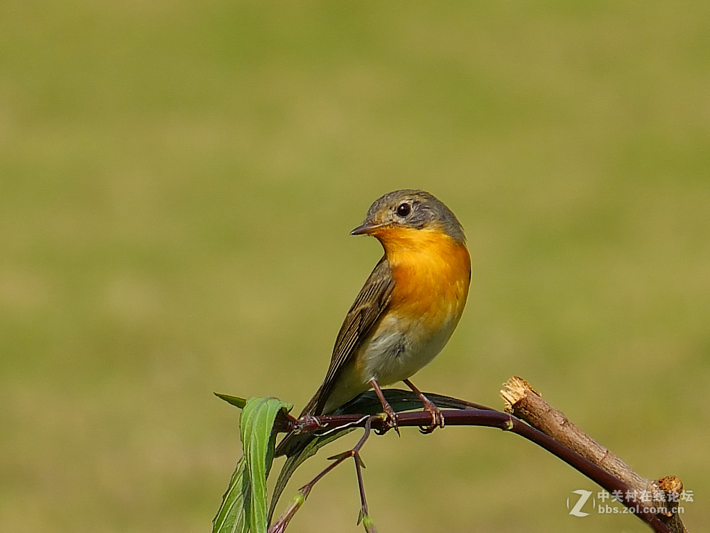 #版主坐堂#腾龙15-30星空(中国)2017年4月精品荟萃