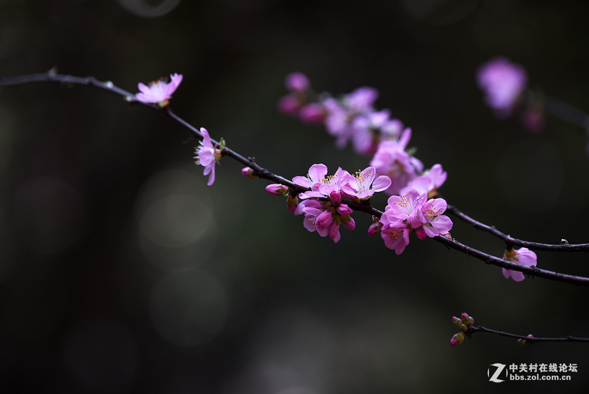 #版主坐堂#腾龙15-30星空(中国)2017年4月精品荟萃