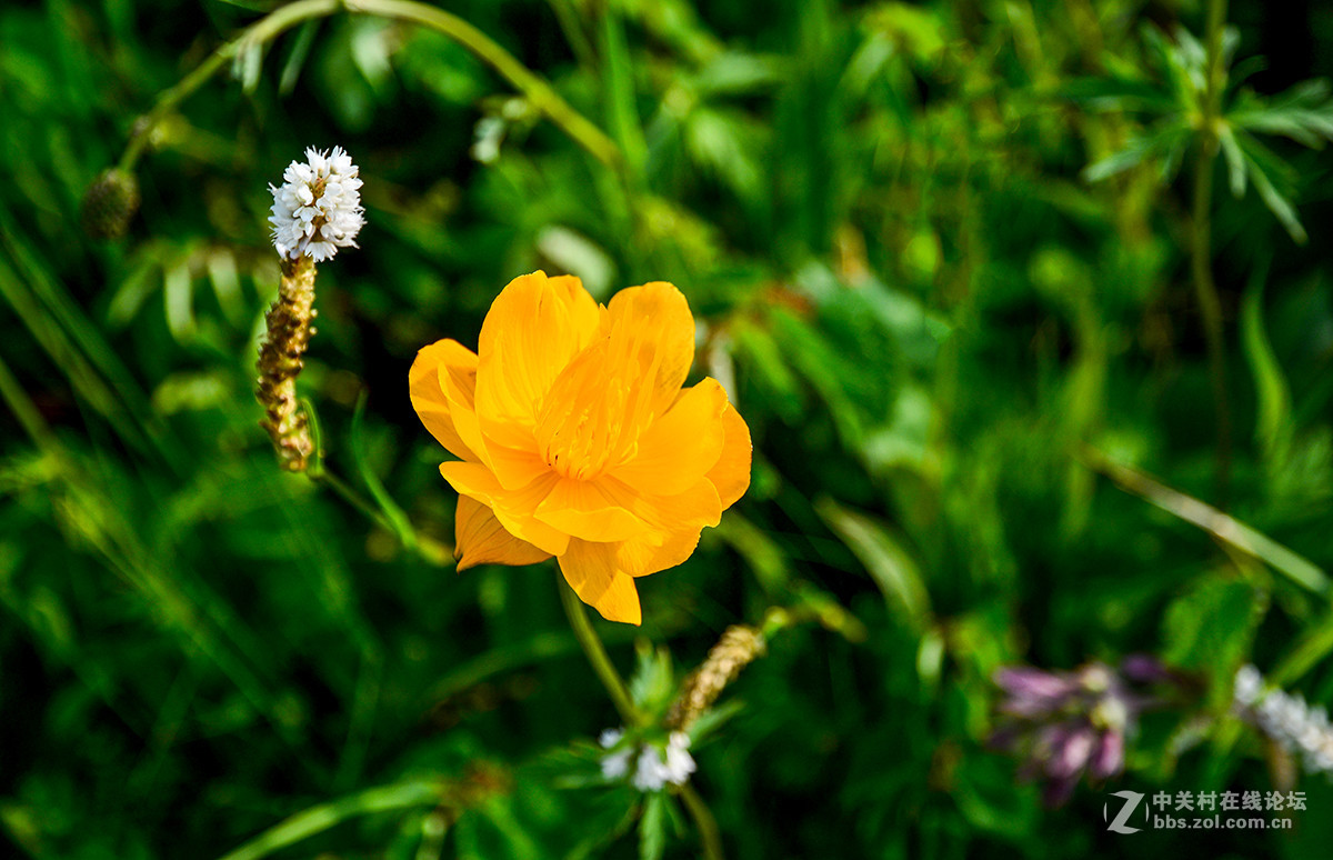 16-85外出露营 横扫全景